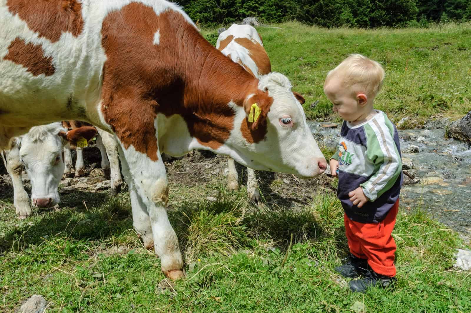 Biosphere Reserve Lungau impressions - © All rights reserved