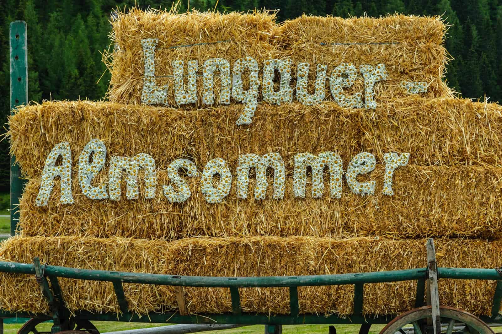 Biosphere Reserve Lungau impressions - © All rights reserved