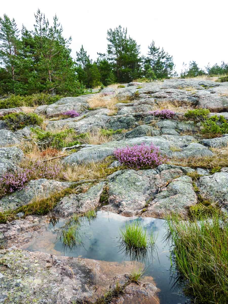 Archipelago Wilderness - © All rights reserved