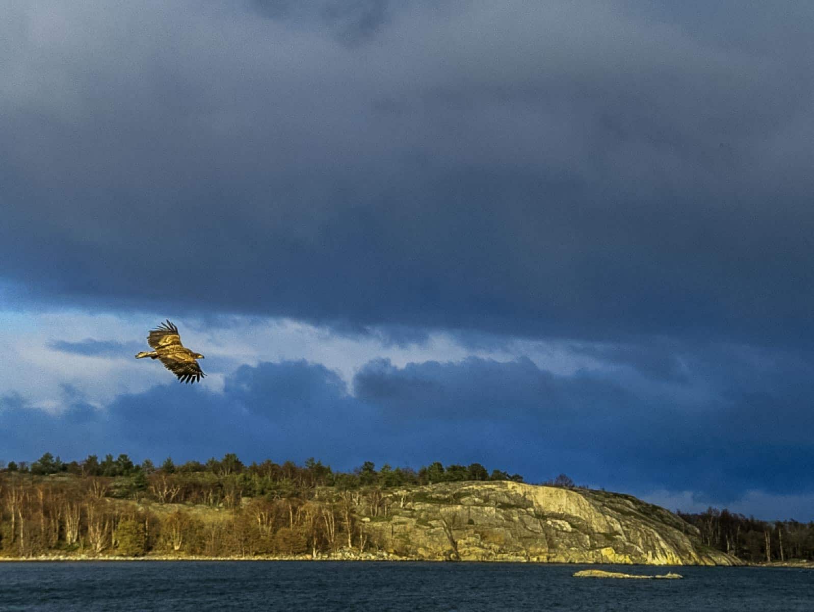 Archipelago Wilderness 0024.png - © European Wilderness Society CC BY-NC-ND 4.0