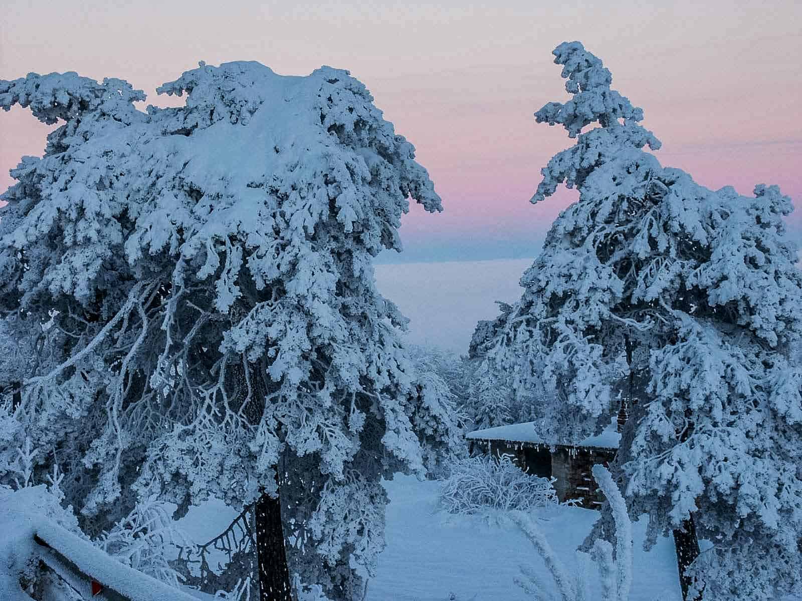 Central Balkan Wilderness - 1.jpg - European Wilderness Society  - CC NonCommercial-NoDerivates 4.0 International