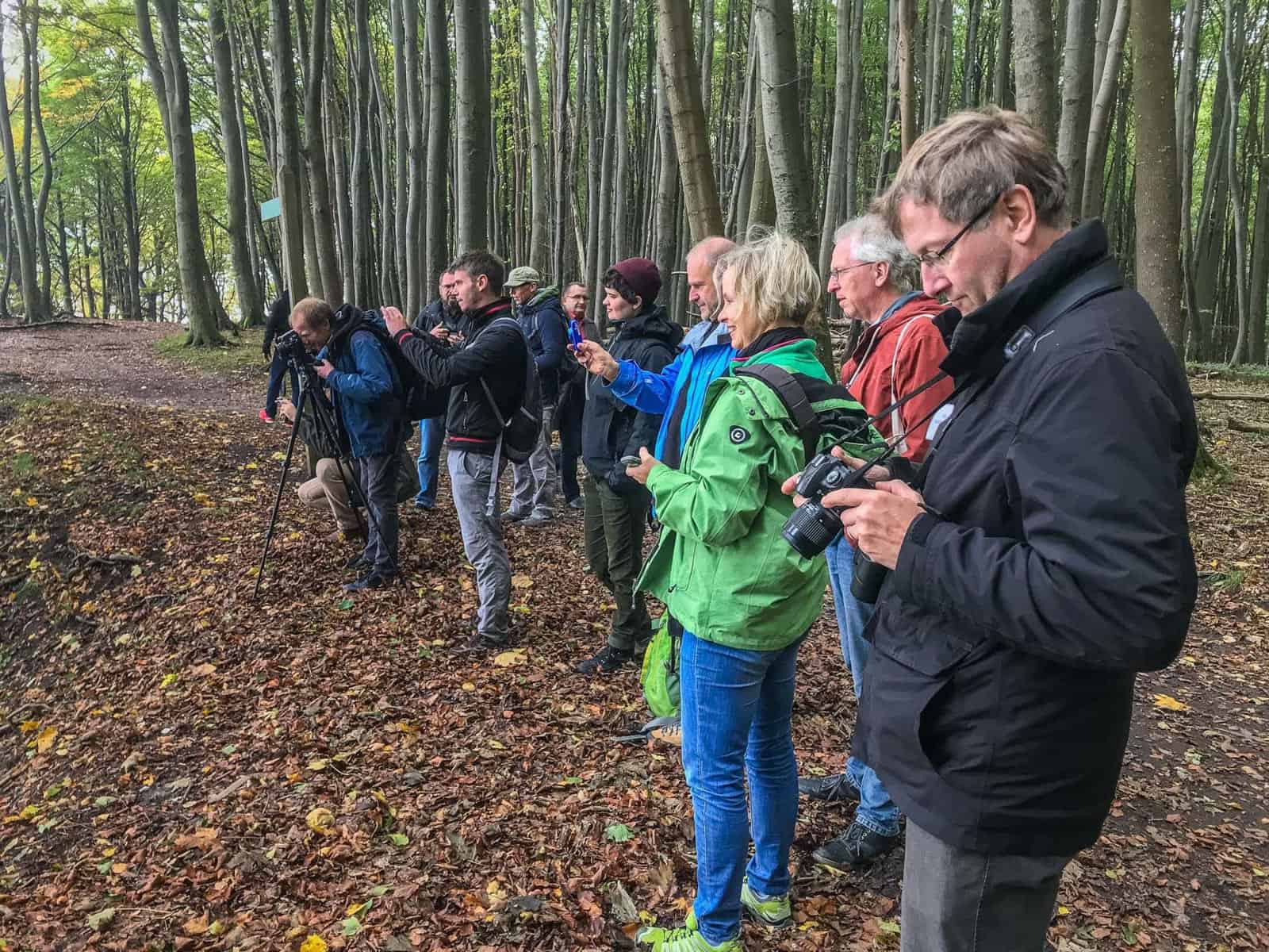 European Beech Forest Network Vilm 2017 - © All rights reserved