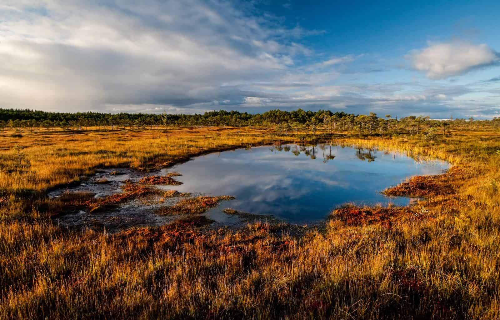 Sooma National Park--14.jpg - European Wilderness Society  - CC NonCommercial-NoDerivates 4.0 International