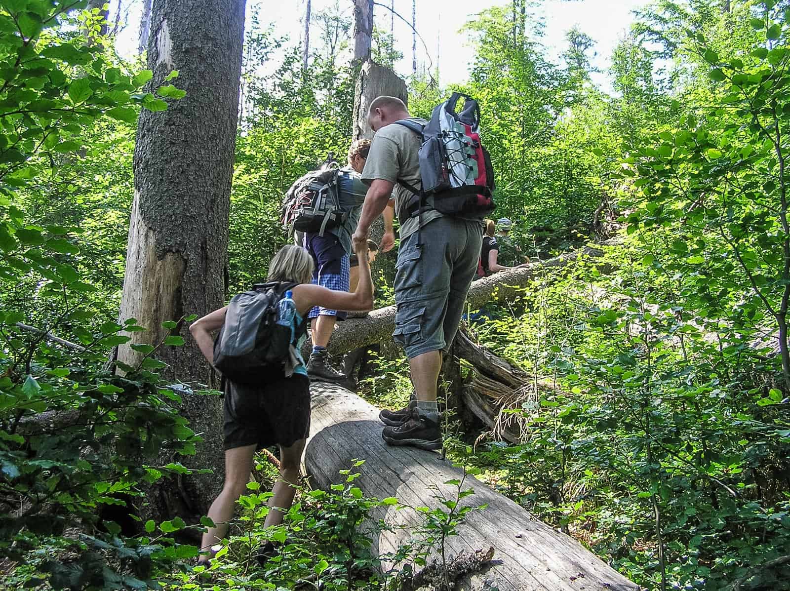 Sumava National Park 0008.JPG - © European Wilderness Society CC BY-NC-ND 4.0