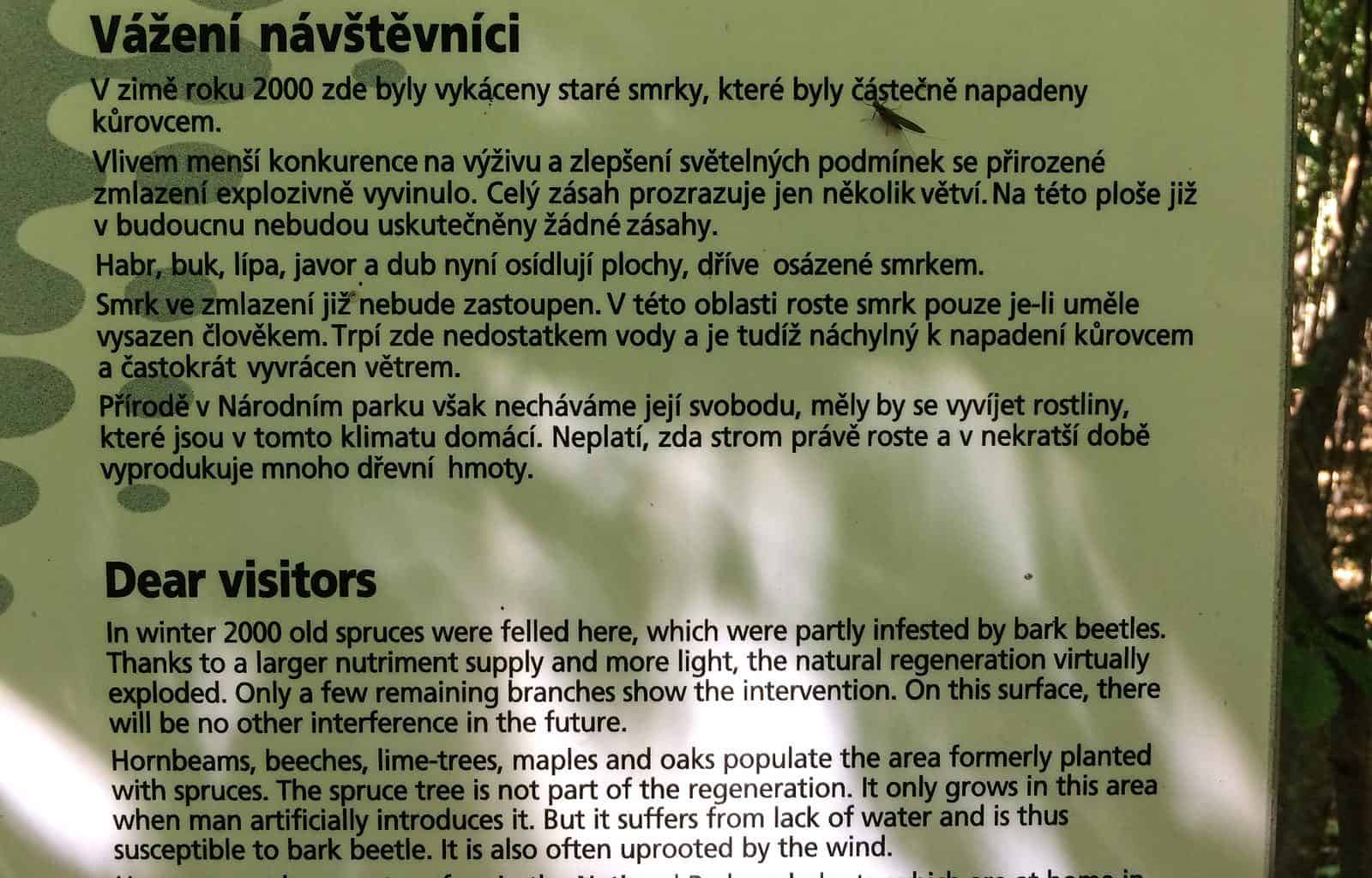 Thayatal Wilderness - © All rights reserved