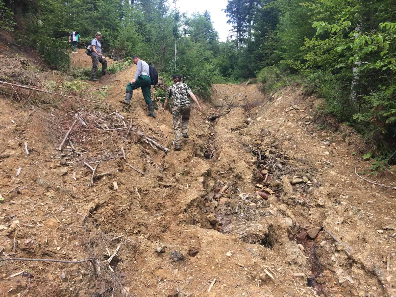 Ukraine Sanitary Logging Analysis - © All rights reserved