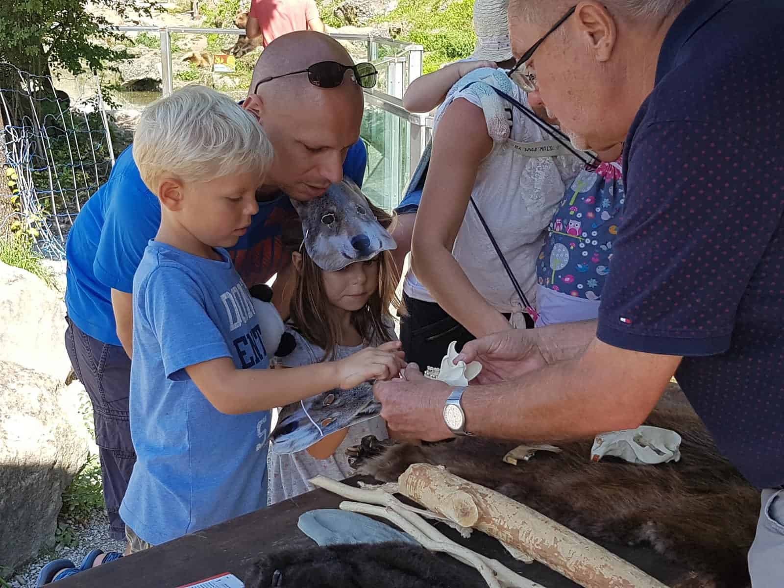 European Wilderness Society Zoo Salzburg - © All rights reserved