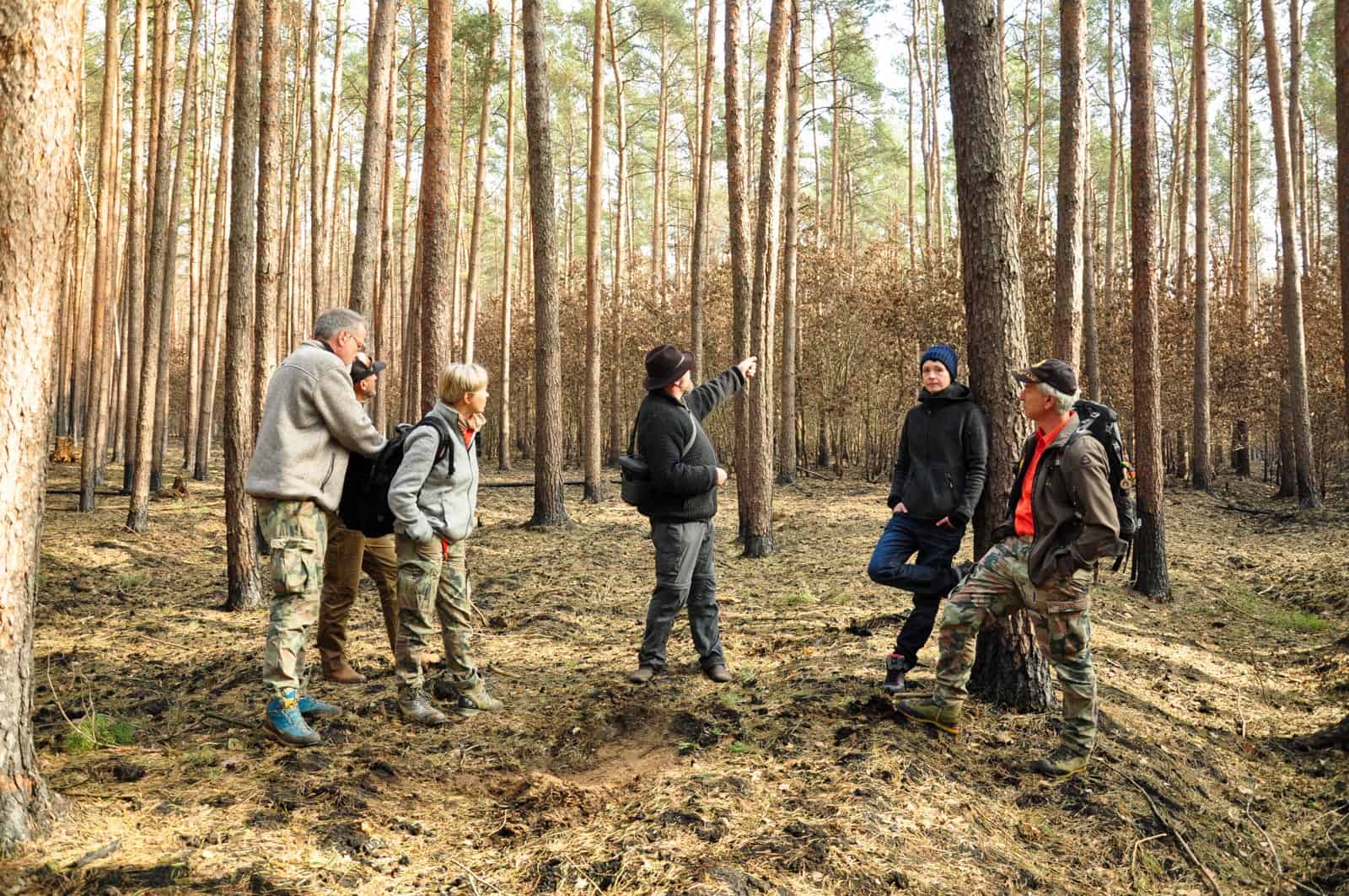 Forest Fire Treuebrietzen Brandenburg - © All rights reserved