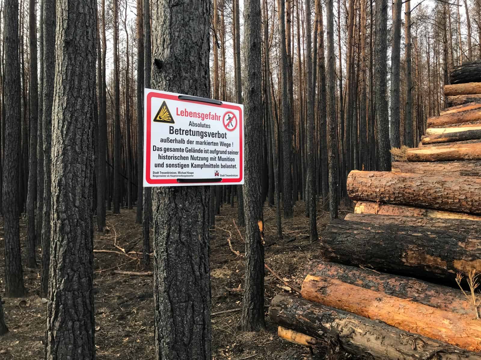 Forest Fire Treuebrietzen Brandenburg - © All rights reserved