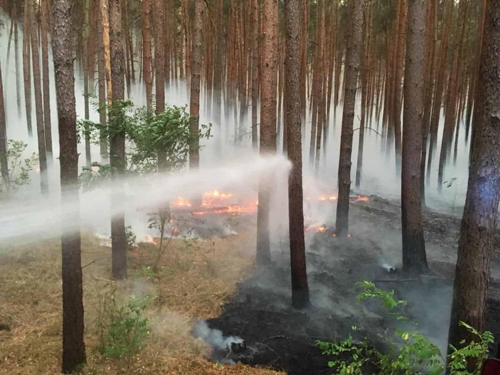 Forest Fire Treuebrietzen Brandenburg - © All rights reserved