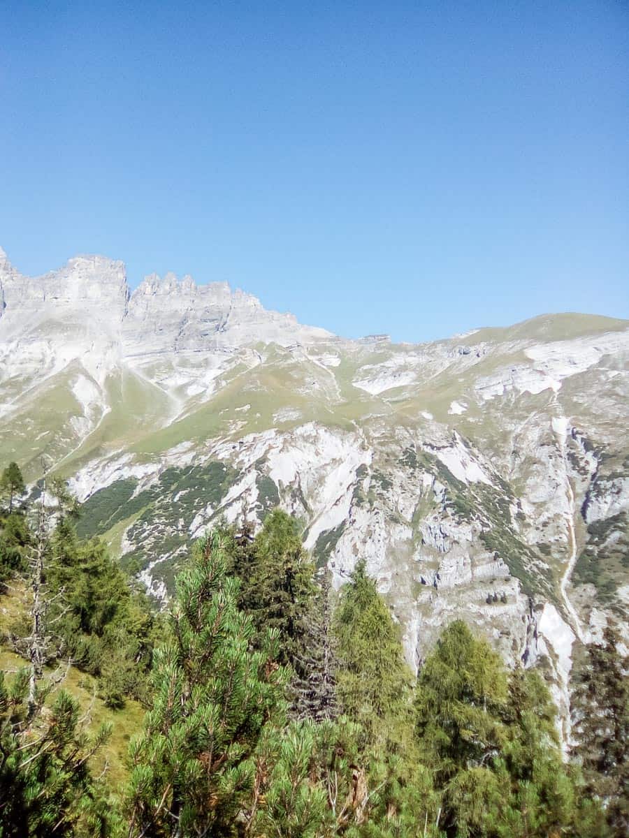 Herd Management Calanda Switzerland-15098.jpg - © European Wilderness Society CC BY-NC-ND 4.0