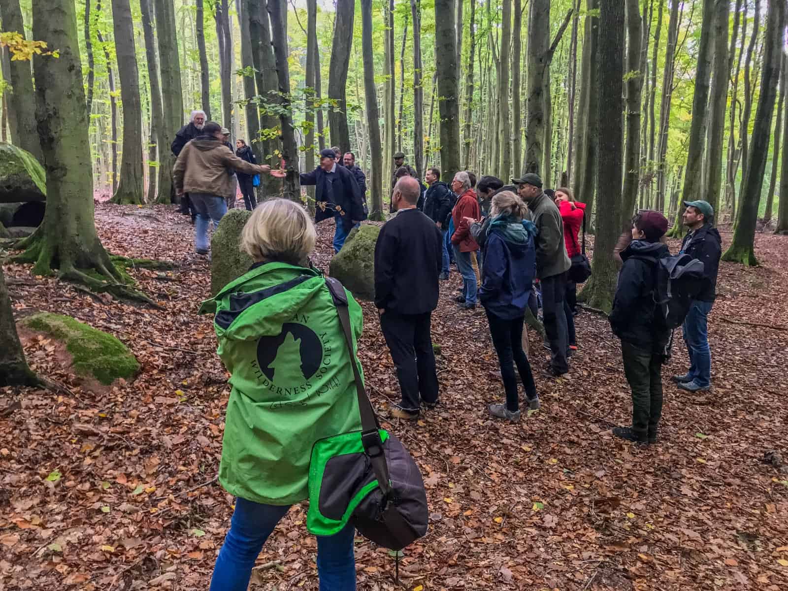 European Beech Forest Network Vilm 2017 0053.jpg - © European Wilderness Society CC BY-NC-ND 4.0