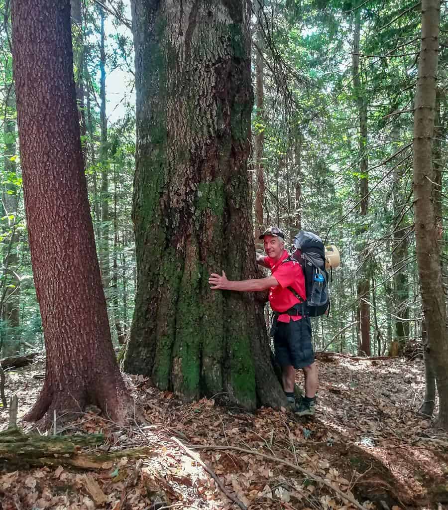 Maramarosh Wilderness Carpathian Biosphere Reserve-19888.jpg - European Wilderness Society  - CC NonCommercial-NoDerivates 4.0 International