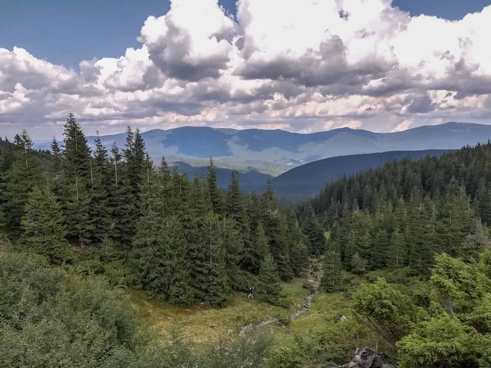 Svydovets Zelinskyy Ski Resort - © All rights reserved