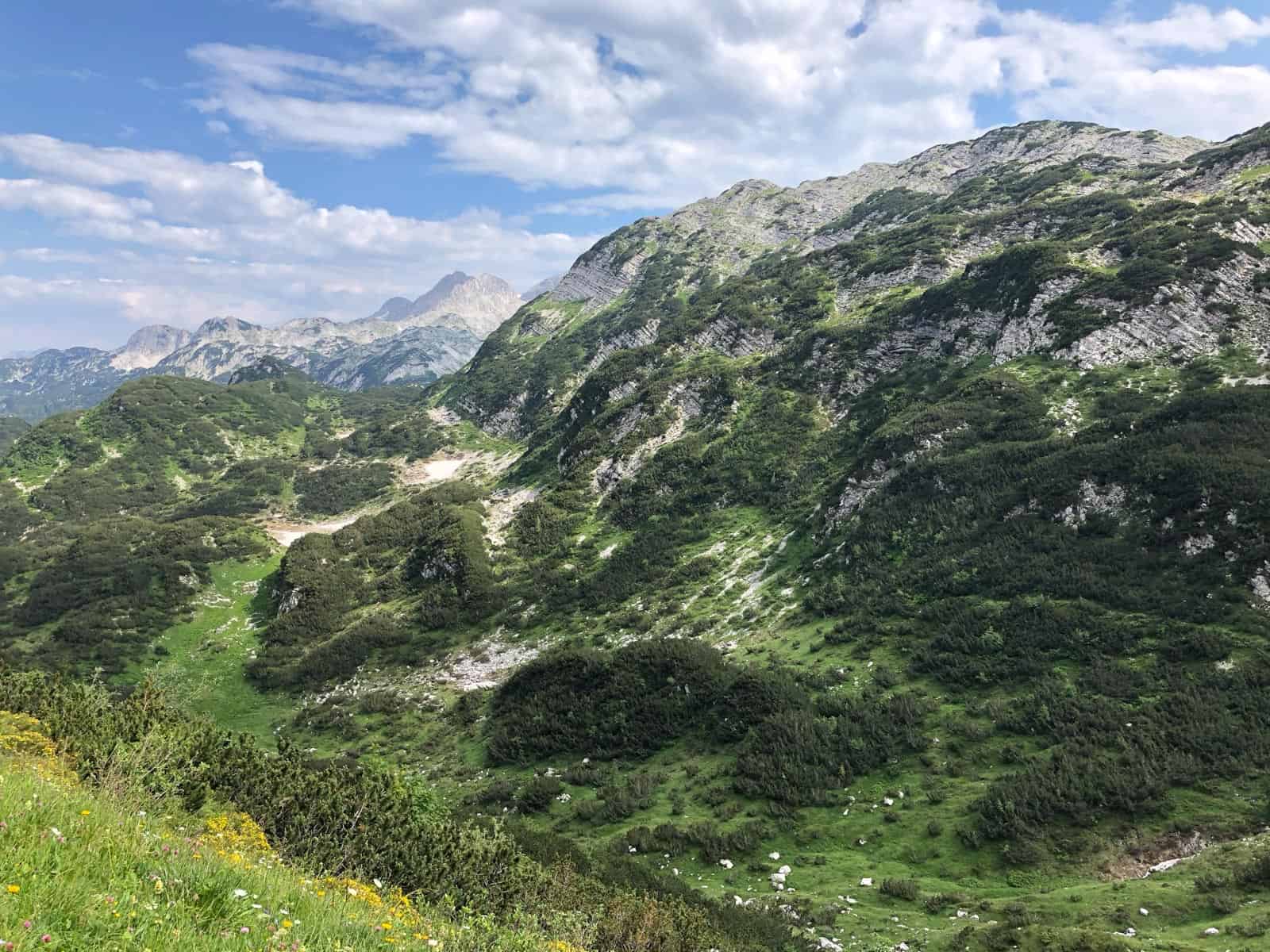 Triglav Wilderness-16419.JPG - European Wilderness Society  - CC NonCommercial-NoDerivates 4.0 International