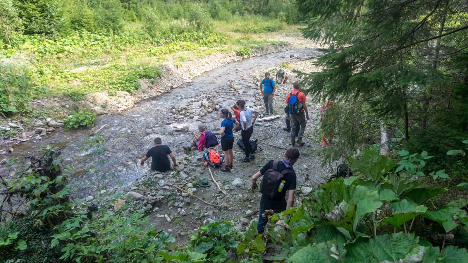 WILDArt Synevyr - 18681.dng - © European Wilderness Society CC BY-NC-ND 4.0