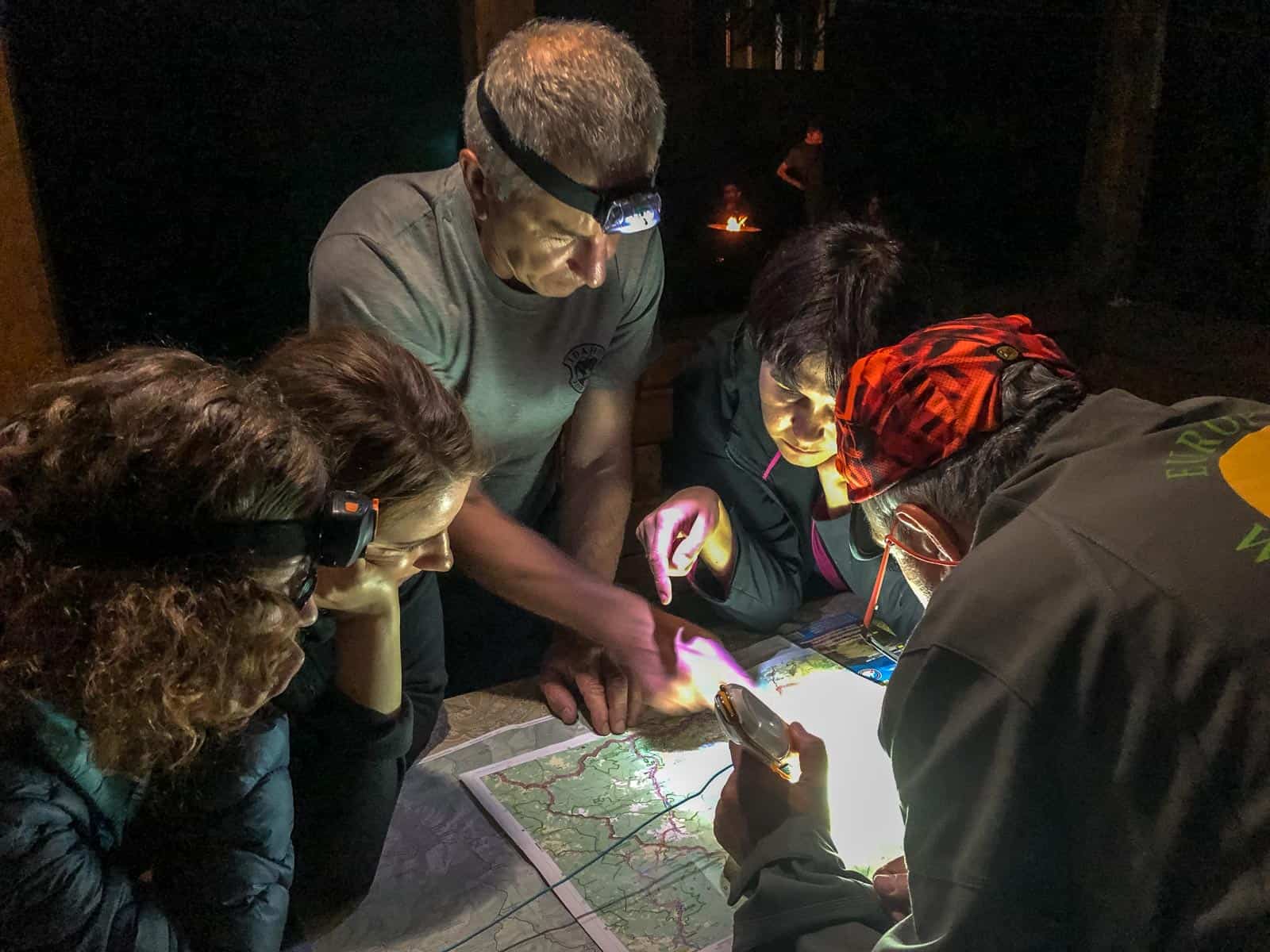 WILDArt NPP Synevyr Ukraine - © All rights reserved