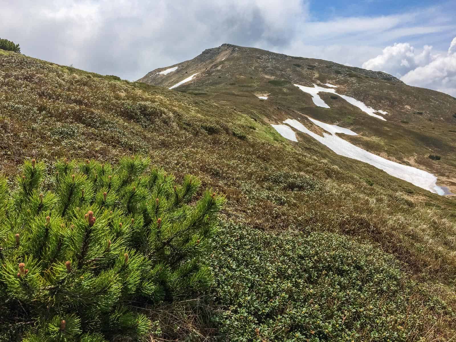 Chornohora Wilderness-24245.jpg - © European Wilderness Society CC BY-NC-ND 4.0
