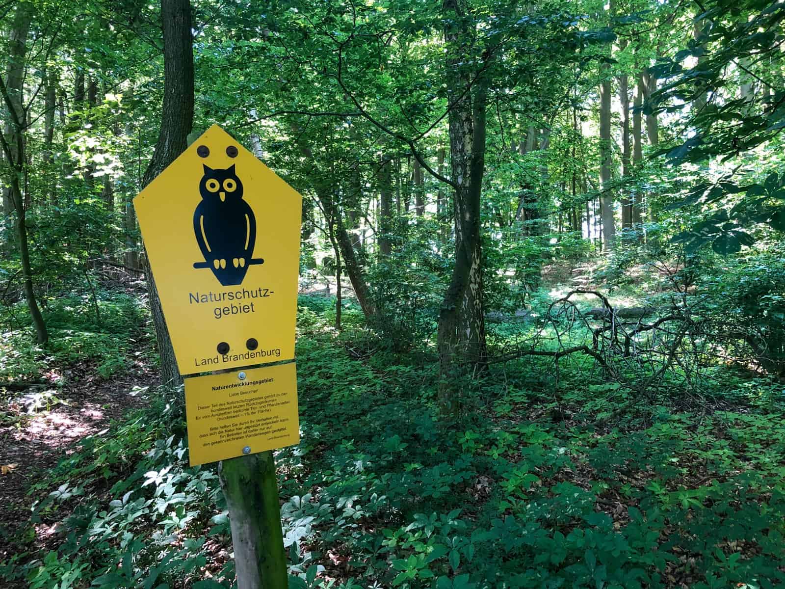 European Wilderness Society © Copyright 2019   - CC NonCommercial-NoDerivates 4.0 International