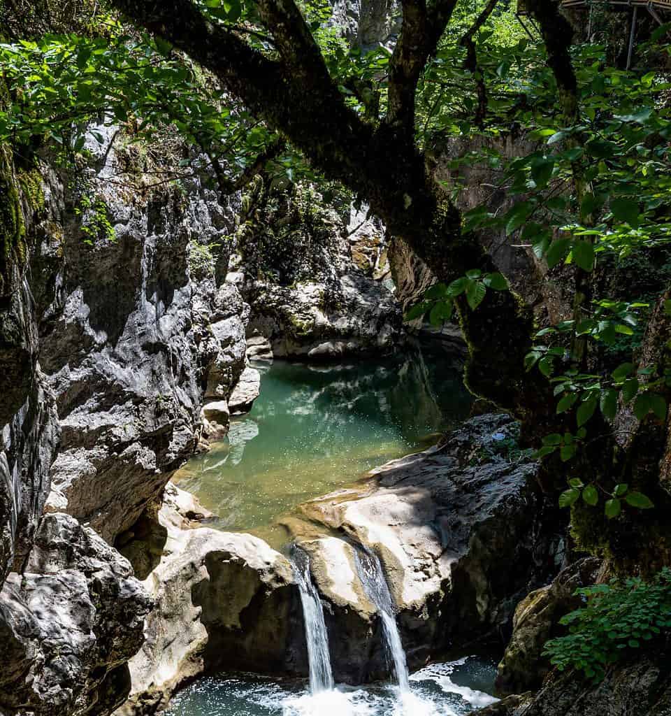 Kure-Daglari Wilderness-25943.jpg - © European Wilderness Society CC BY-NC-ND 4.0