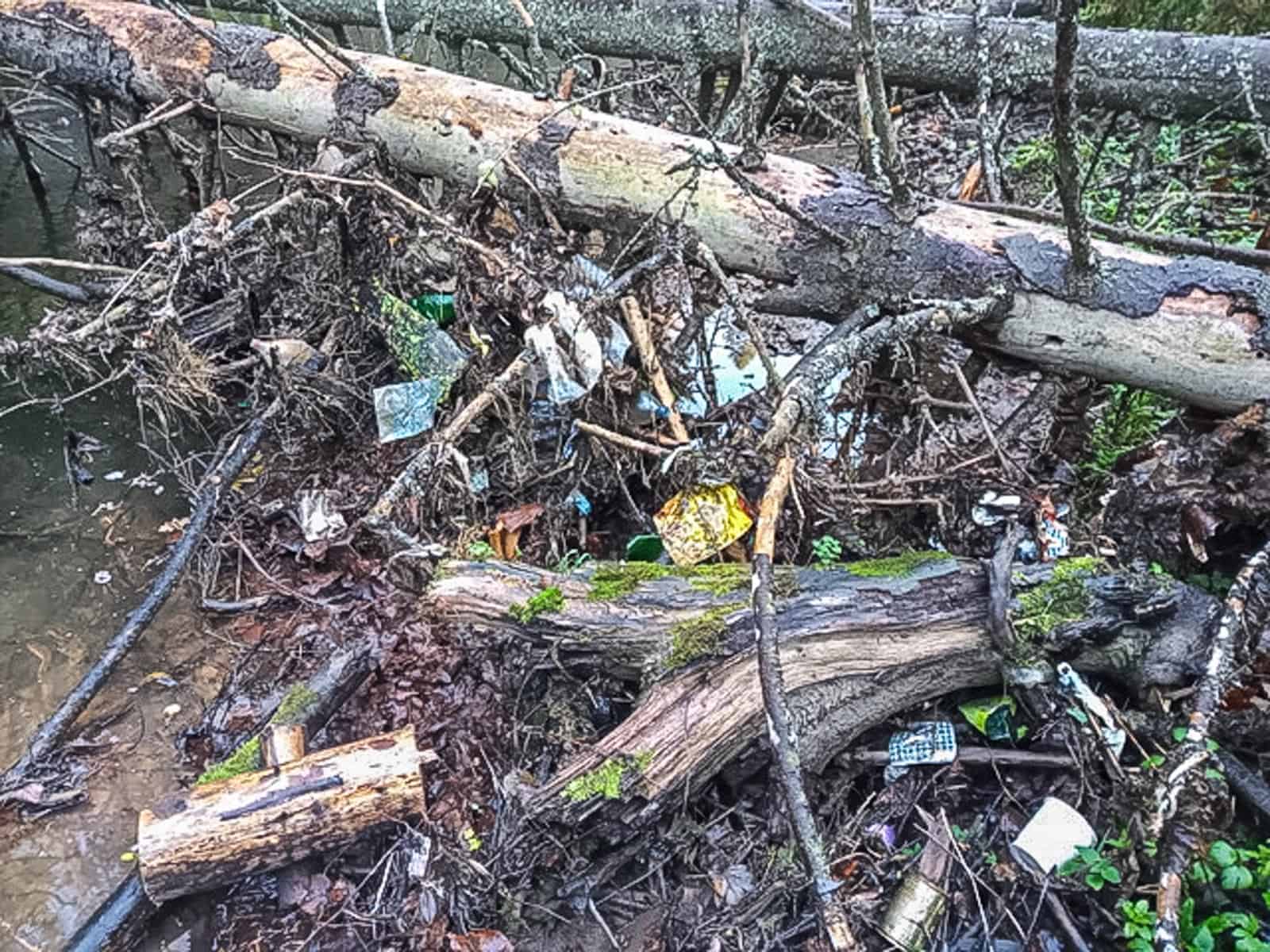 CEW Cleaning up Slovenysky Raj-30278.jpeg - European Wilderness Society  - CC NonCommercial-NoDerivates 4.0 International