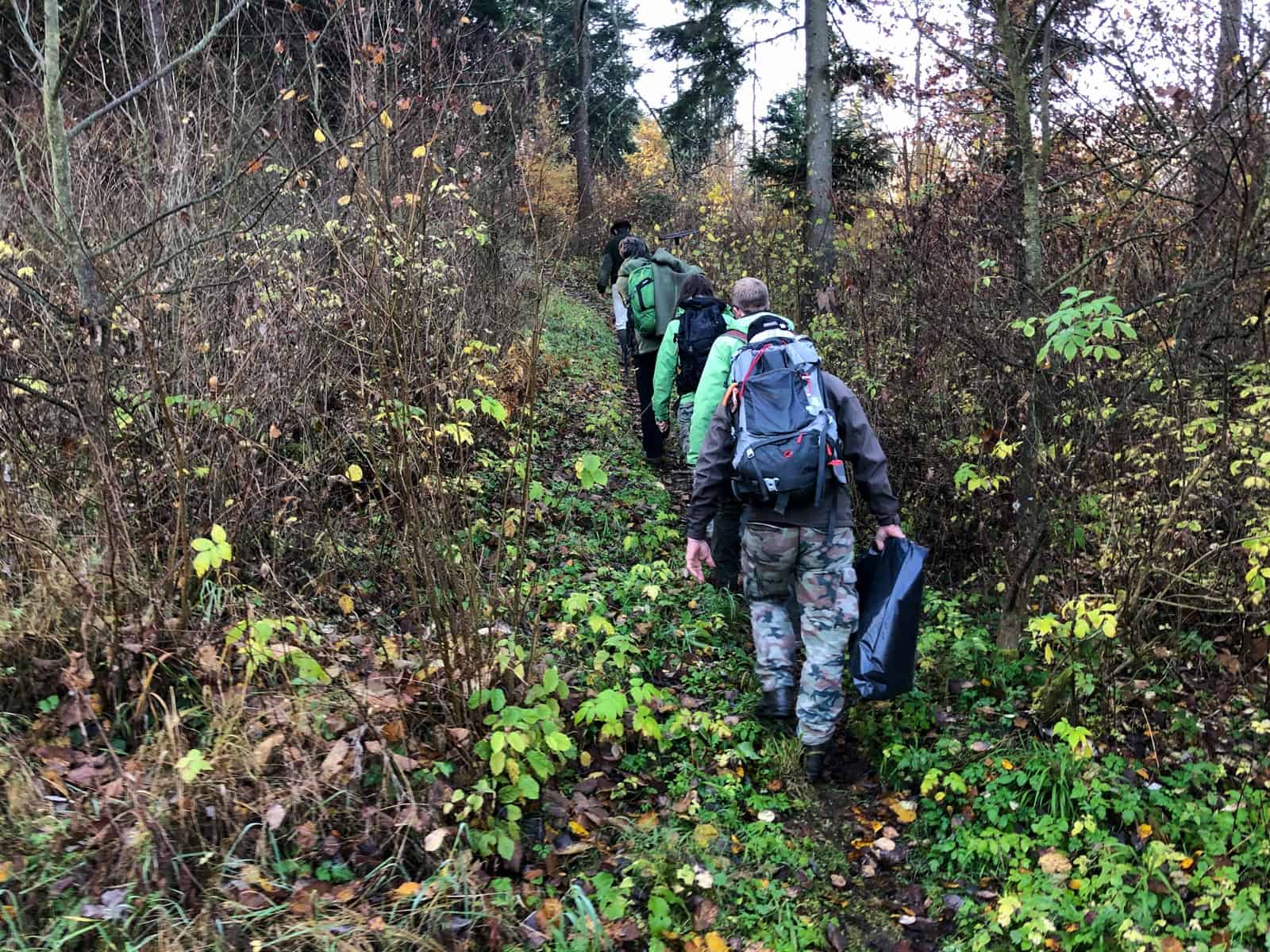 CEW Cleaning up Slovenysky Raj-30331.jpg - European Wilderness Society  - CC NonCommercial-NoDerivates 4.0 International