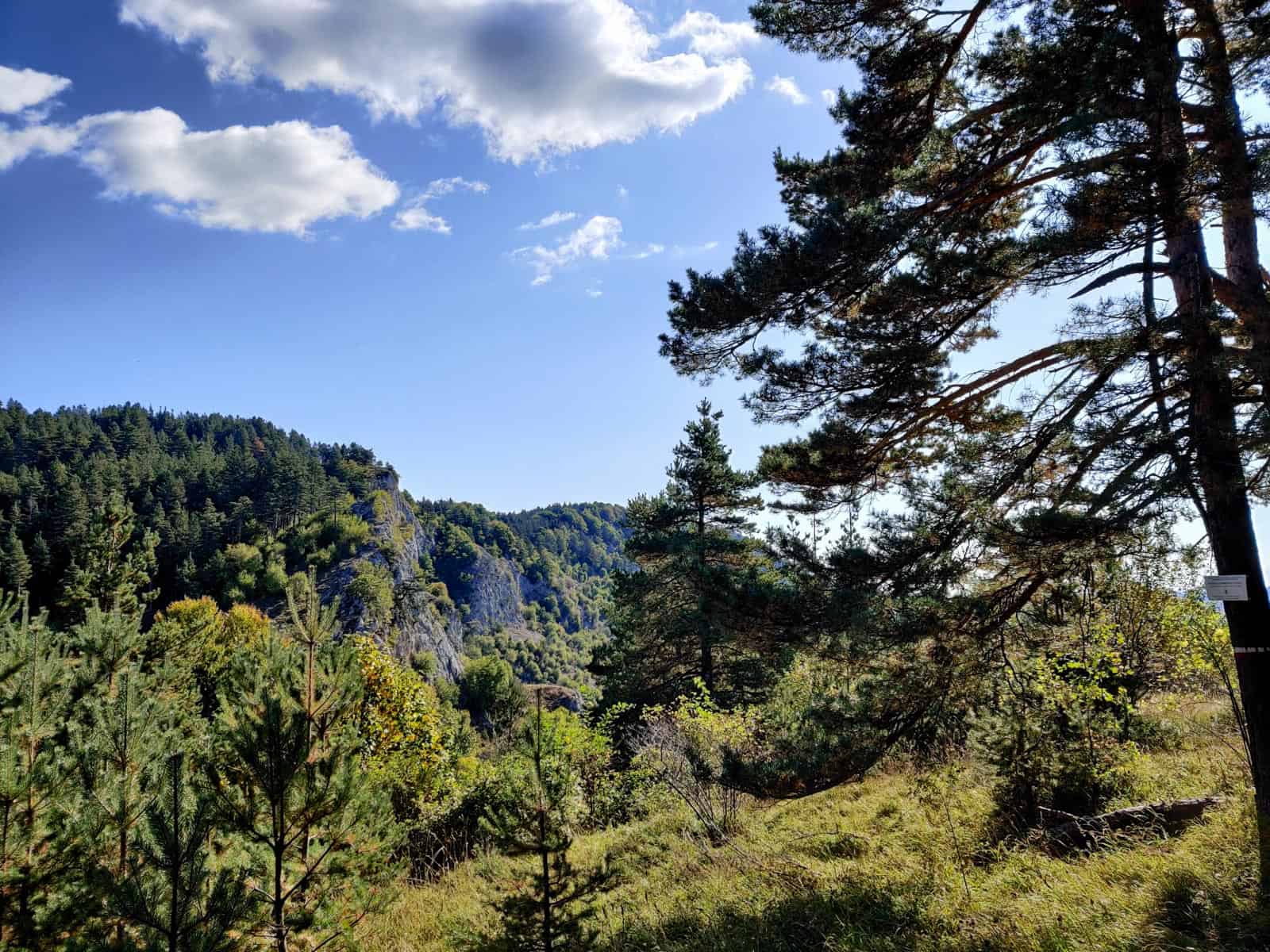 Cervenata stena Reserve-30026.jpg - Jordanka Slavova - All Rights reserved