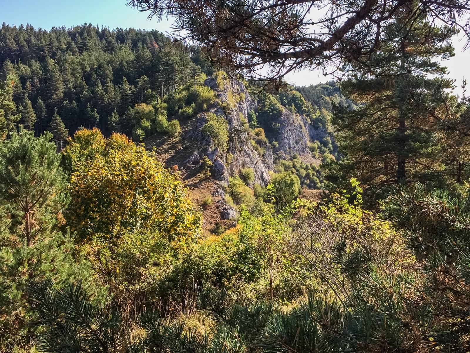 Cervenata stena Reserve-30097.jpeg - European Wilderness Society - CC NonCommercial-NoDerivates 4.0 International