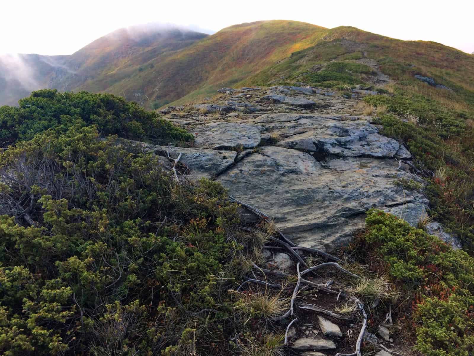 Kongura reserve_Nature Park Belasitza-29912.jpg - European Wilderness Society  - CC NonCommercial-NoDerivates 4.0 International