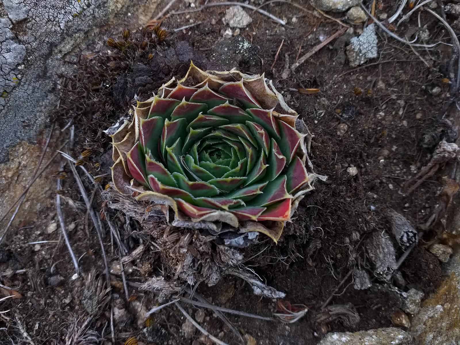 Kongura reserve_Nature Park Belasitza-29925.jpg - European Wilderness Society  - CC NonCommercial-NoDerivates 4.0 International