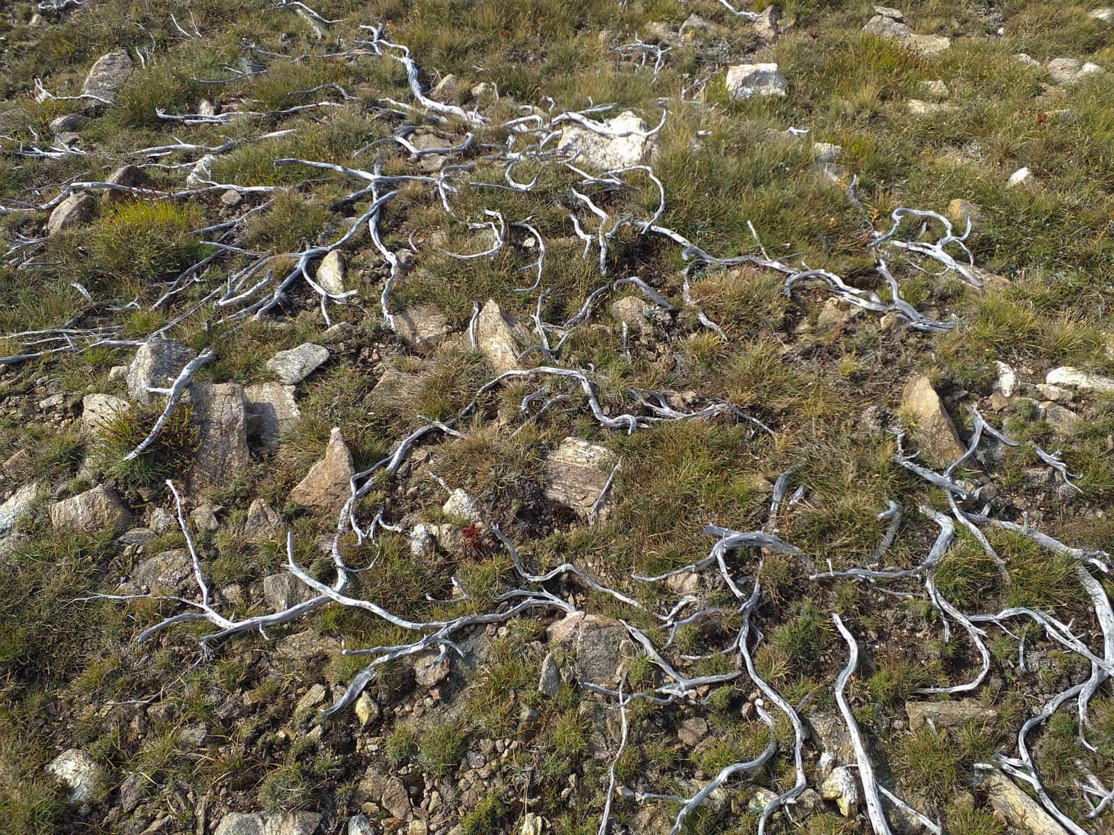 Kongura reserve_Nature Park Belasitza-29928.jpg - European Wilderness Society  - CC NonCommercial-NoDerivates 4.0 International