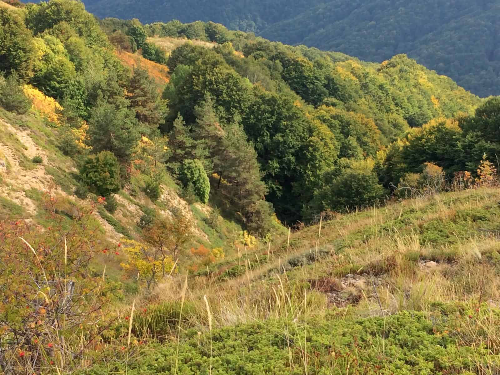 Kongura reserve_Nature Park Belasitza-29943.jpeg - European Wilderness Society  - CC NonCommercial-NoDerivates 4.0 International