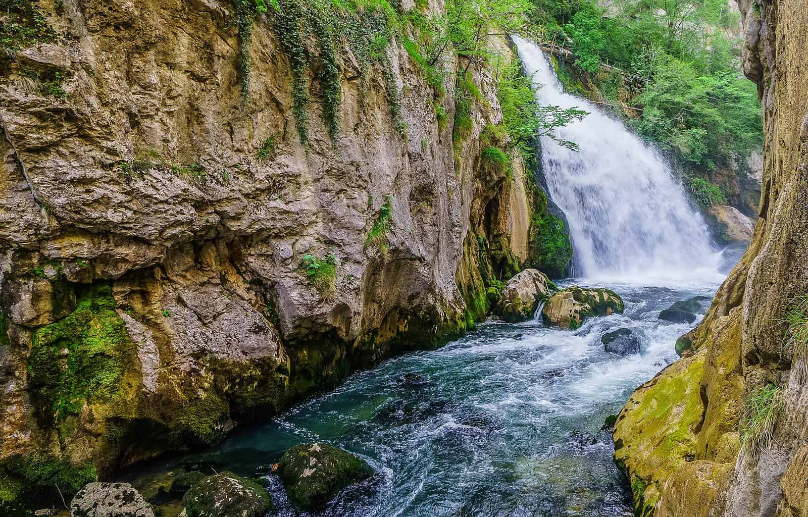 Kure WIlderness-28990.jpg - European Wilderness Society  - CC NonCommercial-NoDerivates 4.0 International