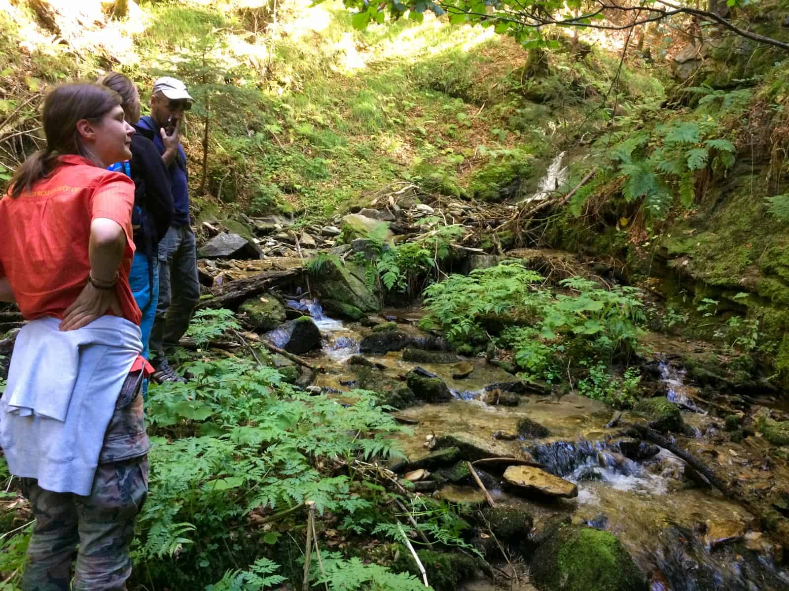 Mantaritza reserve-30206.jpeg - European Wilderness Society - CC NonCommercial-NoDerivates 4.0 International