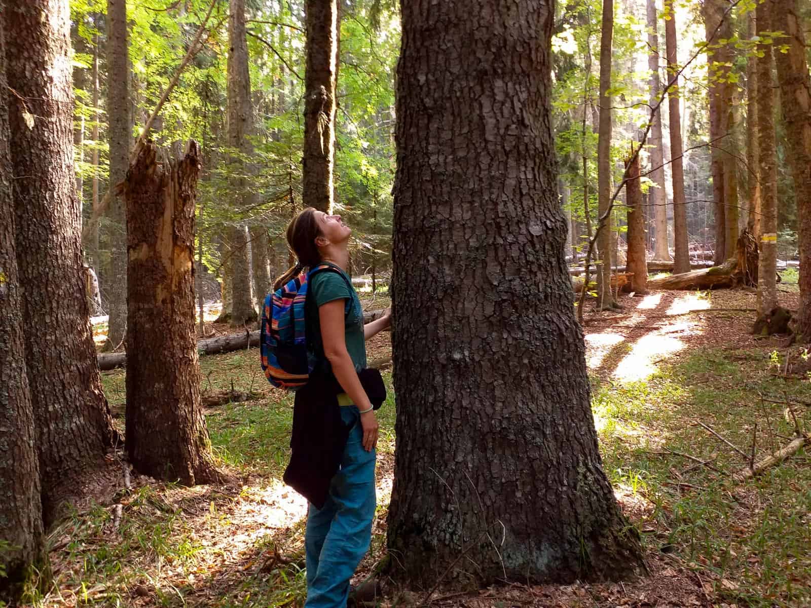 Mantaritza reserve-30236.jpg - European Wilderness Society - CC NonCommercial-NoDerivates 4.0 International