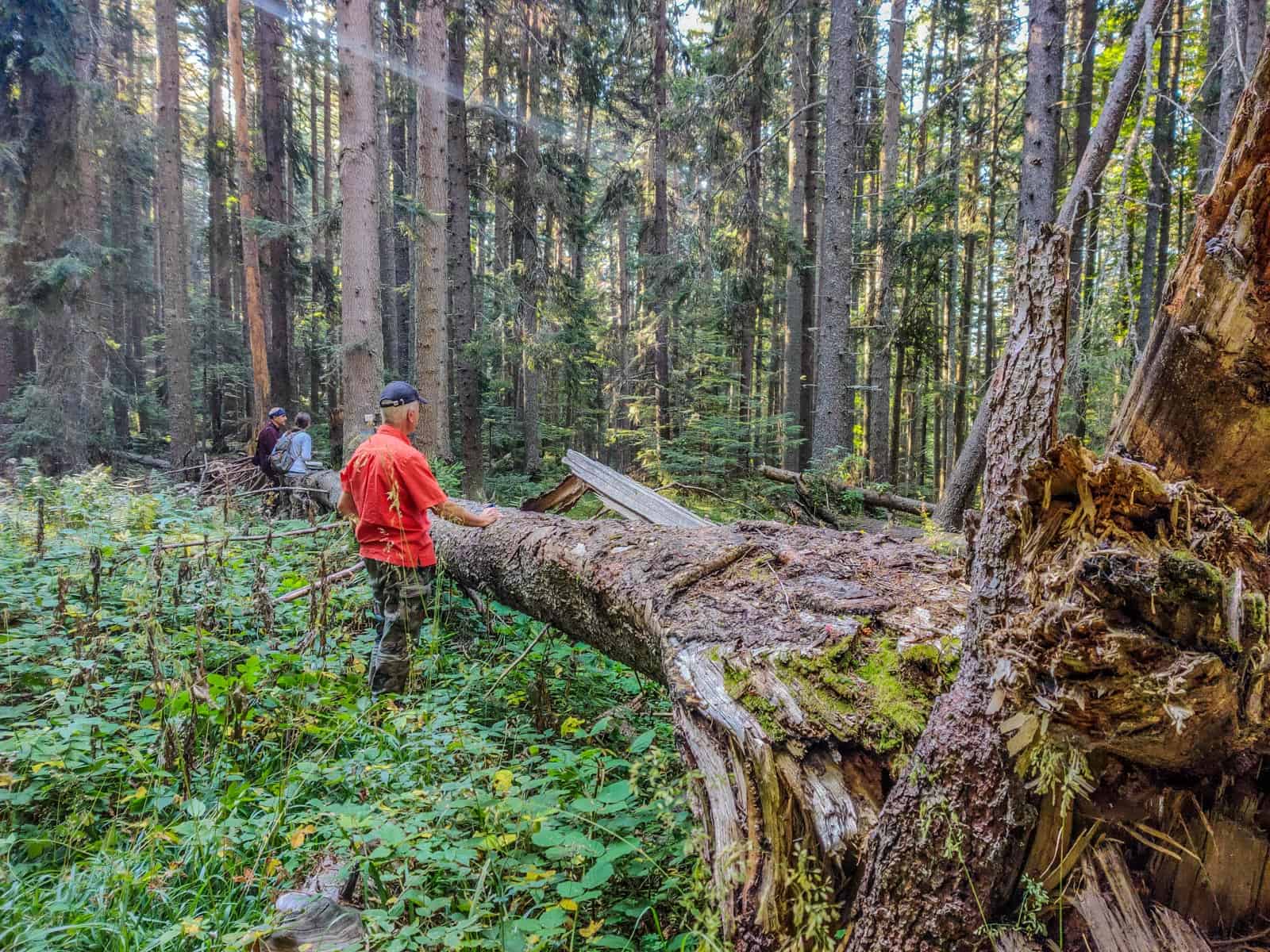 Mantaritza reserve-30254.jpg - Jordanka Slavova - All Rights reserved