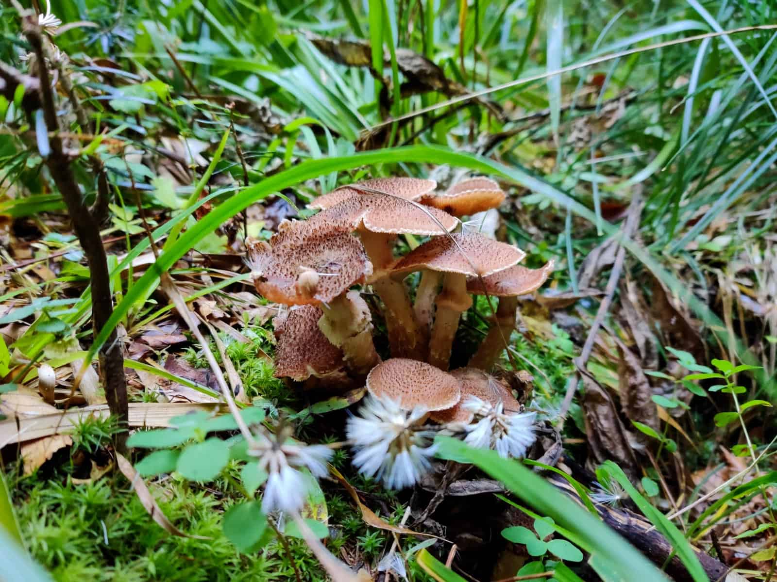 Mantaritza reserve-30260.jpg - Jordanka Slavova - All Rights reserved