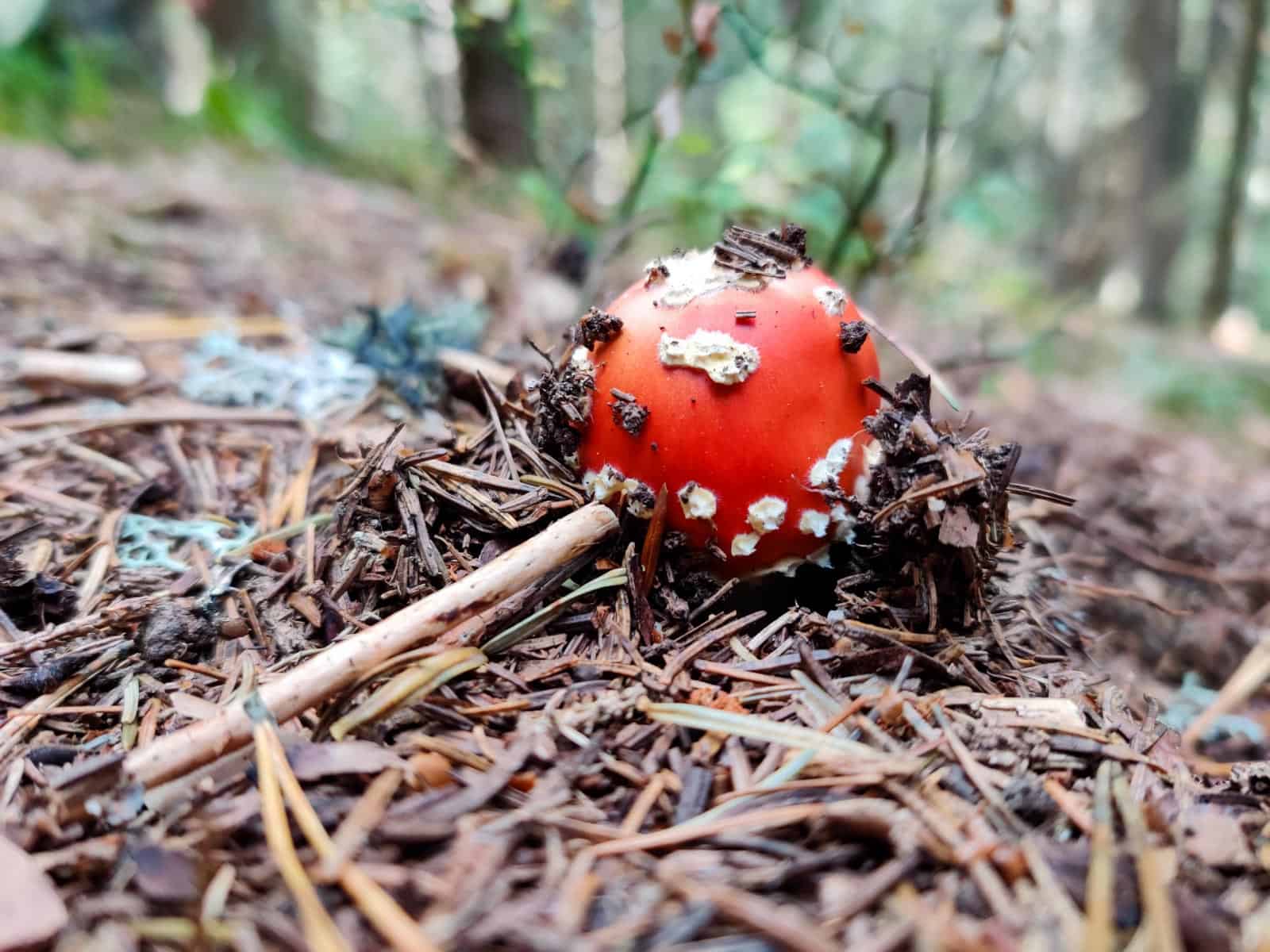 Mantaritza reserve-30261.jpg - Jordanka Slavova - All Rights reserved