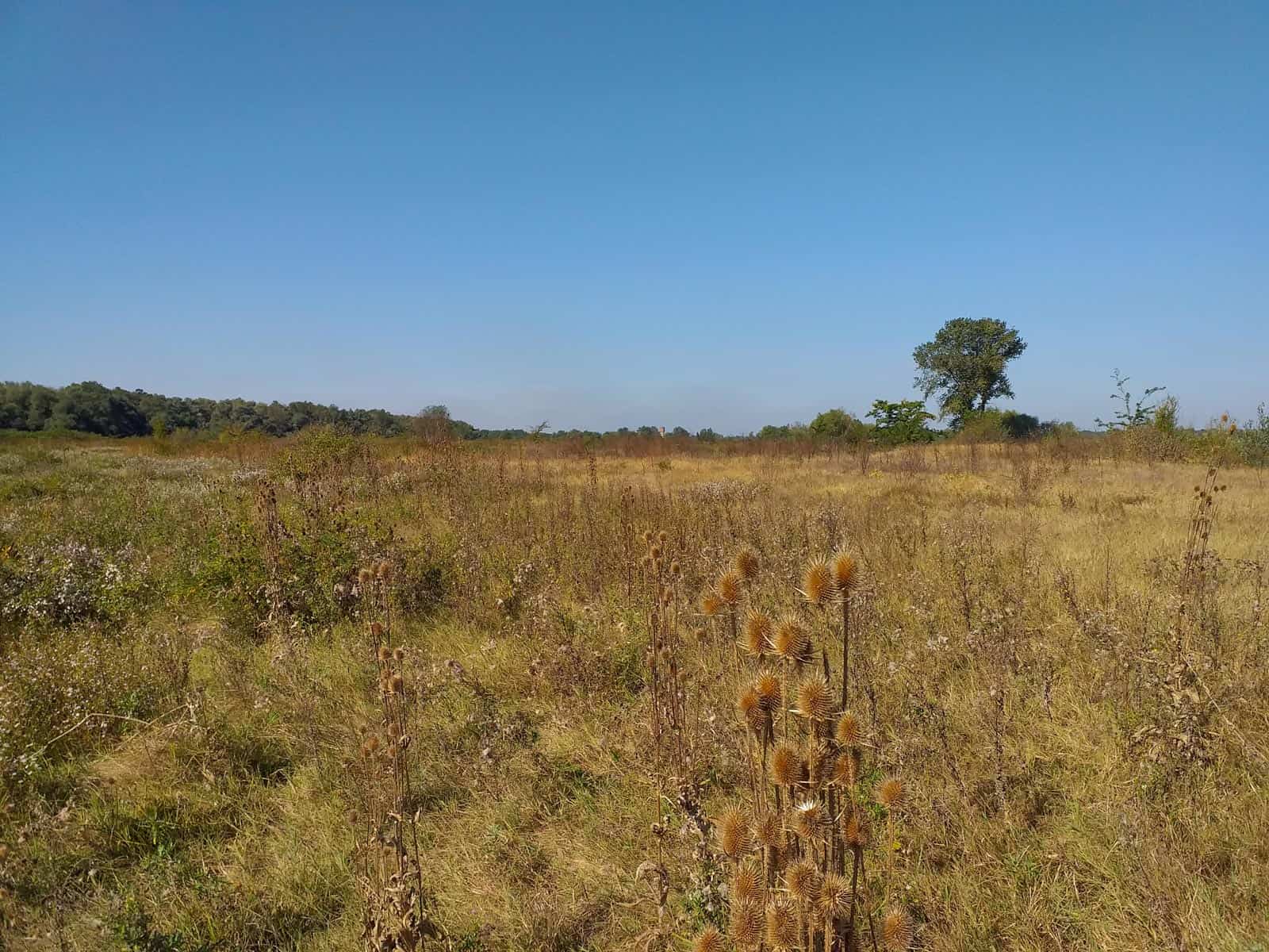 Persina Nature Park-28781.jpg - European Wilderness Society  - CC NonCommercial-NoDerivates 4.0 International