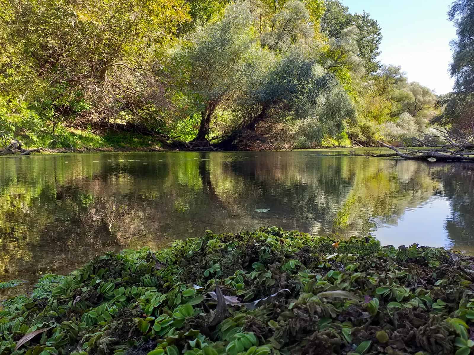 Persina Nature Park-28799.jpg - European Wilderness Society  - CC NonCommercial-NoDerivates 4.0 International