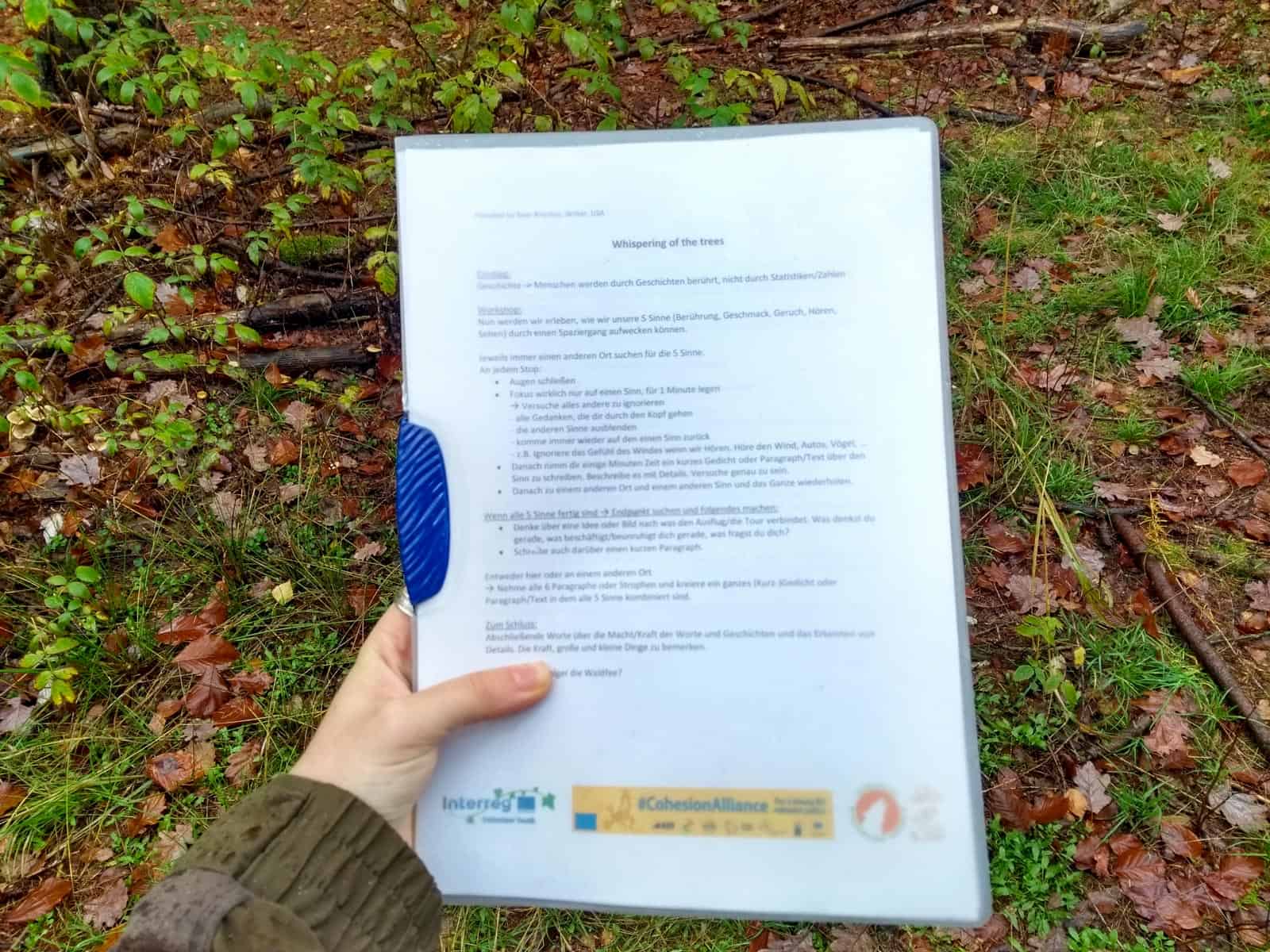 European Wilderness Society © Copyright 2019   - CC NonCommercial-NoDerivates 4.0 International