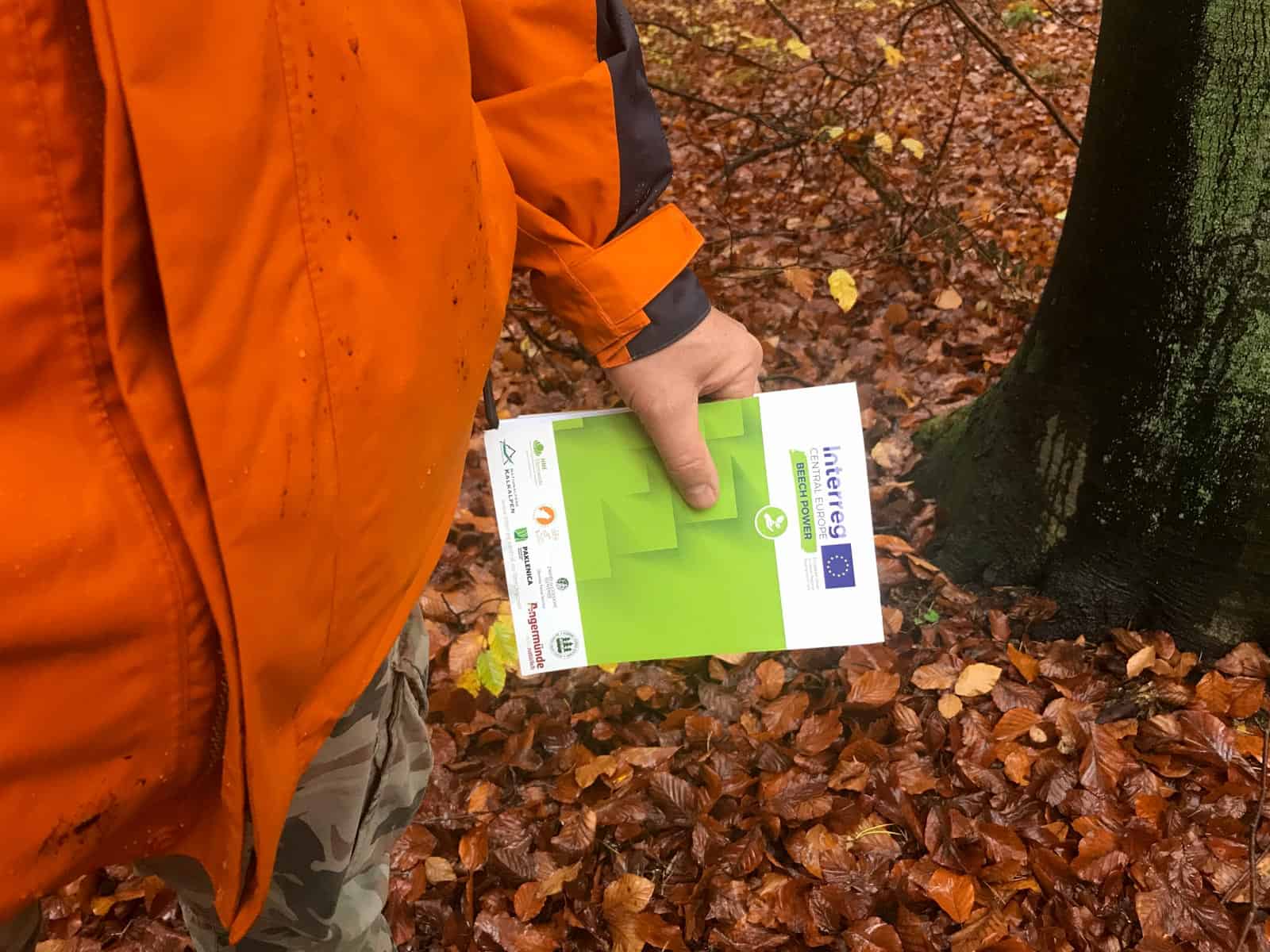 European Wilderness Society © Copyright 2019   - CC NonCommercial-NoDerivates 4.0 International