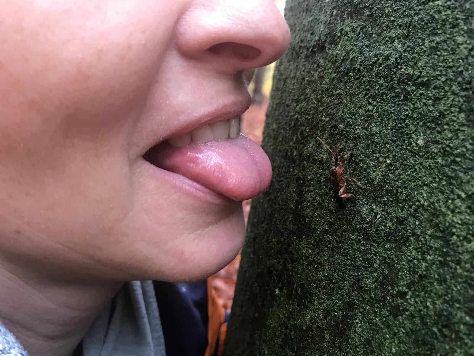 European Wilderness Society © Copyright 2019   - CC NonCommercial-NoDerivates 4.0 International