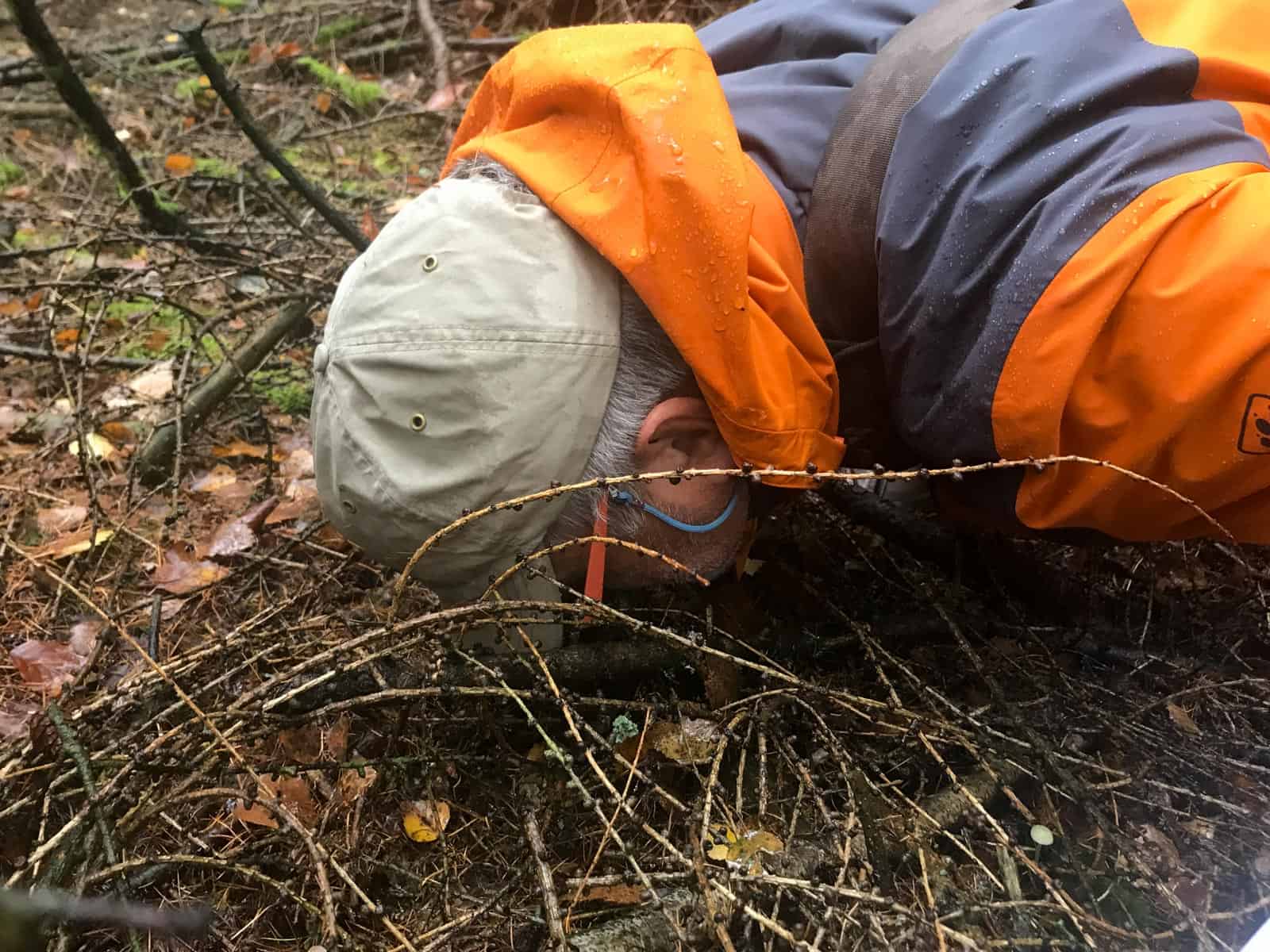 European Wilderness Society © Copyright 2019   - CC NonCommercial-NoDerivates 4.0 International