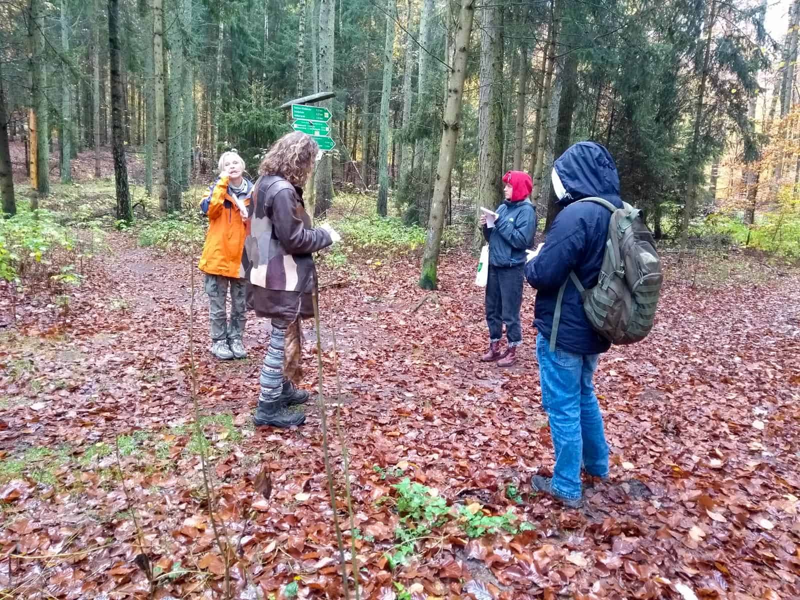 European Wilderness Society © Copyright 2019   - CC NonCommercial-NoDerivates 4.0 International