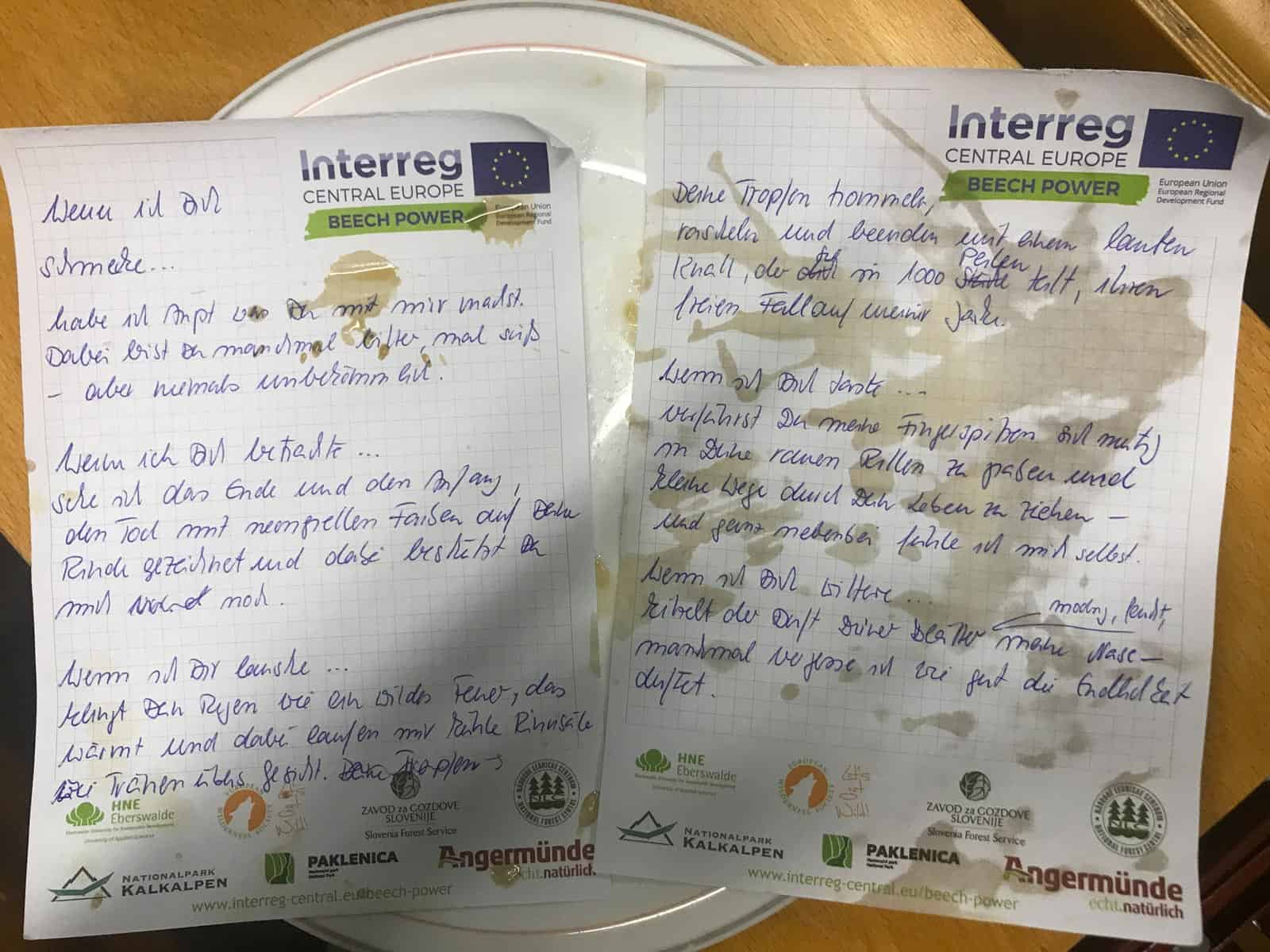 European Wilderness Society © Copyright 2019   - CC NonCommercial-NoDerivates 4.0 International