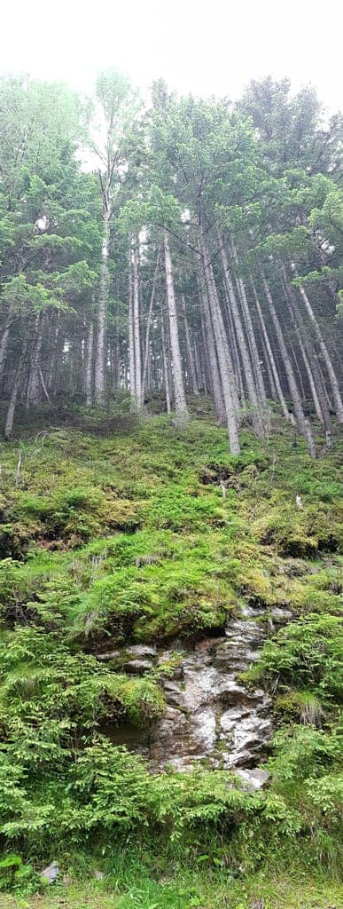 Rebecca Wilderness Diary-16187.jpg - European Wilderness Society  - CC NonCommercial-NoDerivates 4.0 International