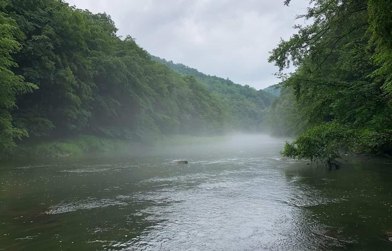 Thayatal Wilderness - 2-4.JPG - © European Wilderness Society CC BY-NC-ND 4.0