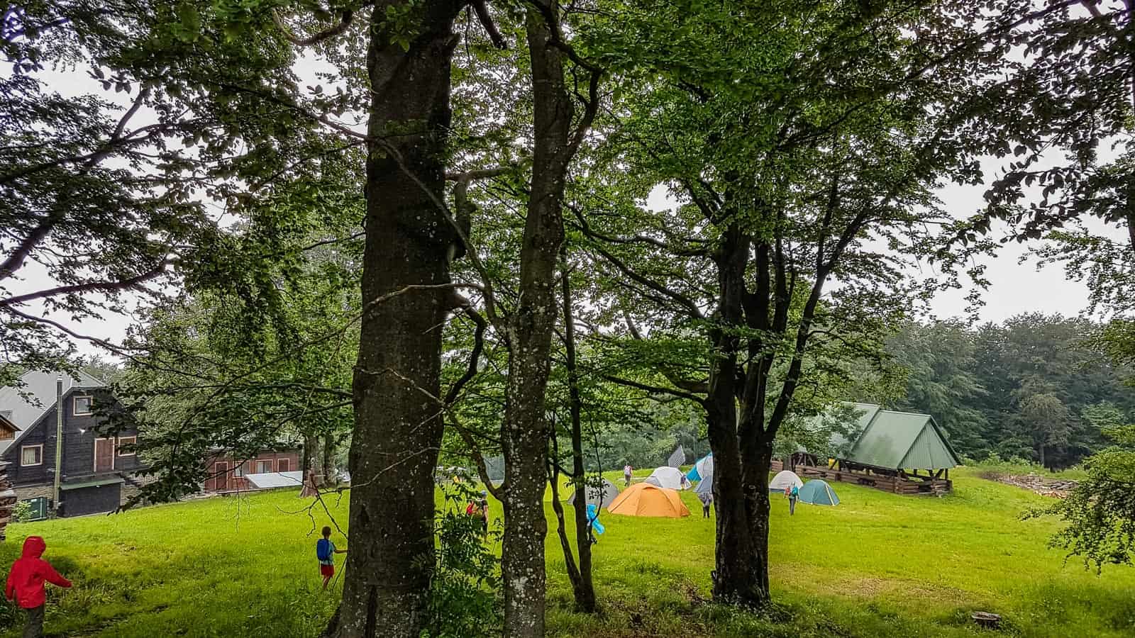 Ukraine Sustainable Tourism Workshop-31381.jpg - © European Wilderness Society CC BY-NC-ND 4.0