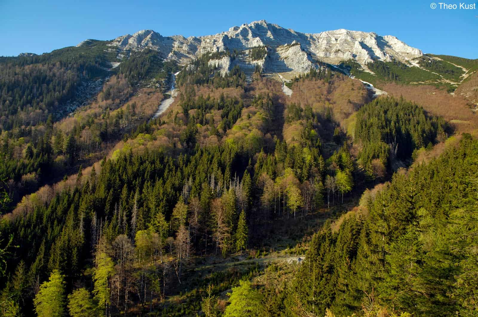 Werner Gamerith Wildnisgebiet Duerrenstein 2019 - © All Rights reserved